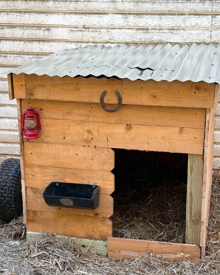 Small wooden chicken shelter with horseshoe and red lantern on a homestead